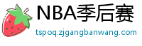 NBA季后赛